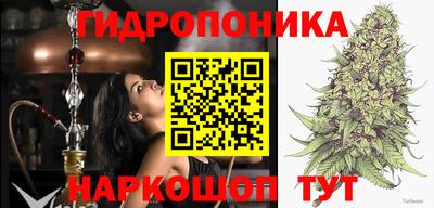прущие грибы Кимры
