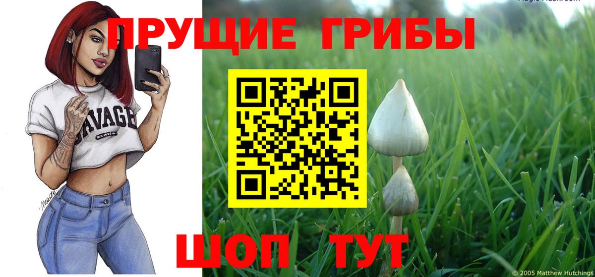 Галлюциногенные грибы мухоморы Кирово-Чепецк